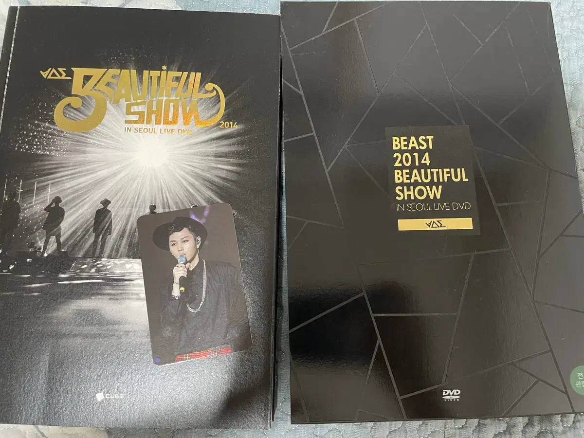 비스트 (현 하이라이트) 2014년 뷰티풀쇼 dvd 포토북